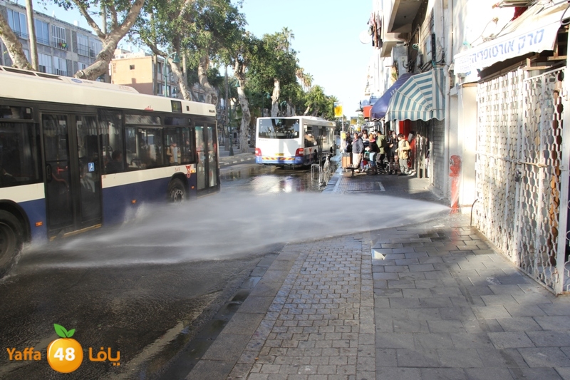 naforea jsadsah (6).JPG